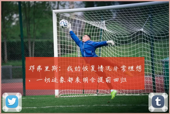 邓弗里斯：我的恢复情况非常理想，一切迹象都表明会提前回归