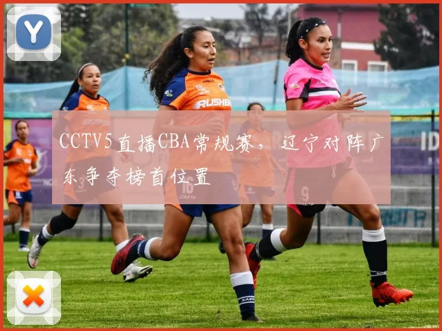 CCTV5直播CBA常规赛，辽宁对阵广东争夺榜首位置