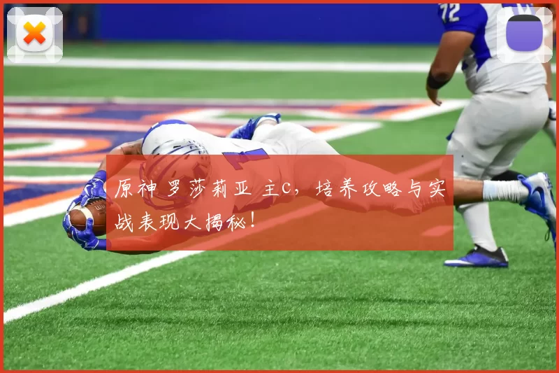 原神 罗莎莉亚 主c，培养攻略与实战表现大揭秘！