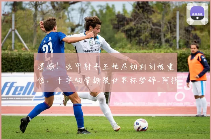 遗憾！法甲射手王帕尼切利训练重伤，十字韧带撕裂世界杯梦碎_阿根廷_伤病_斯特拉斯堡