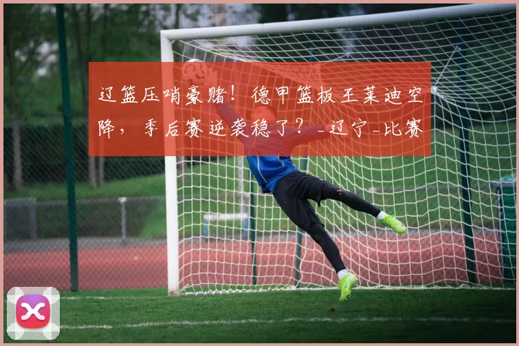 辽篮压哨豪赌！德甲篮板王莱迪空降，季后赛逆袭稳了？_辽宁_比赛_内线