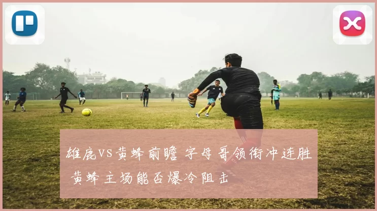 雄鹿vs黄蜂前瞻 字母哥领衔冲连胜 黄蜂主场能否爆冷阻击