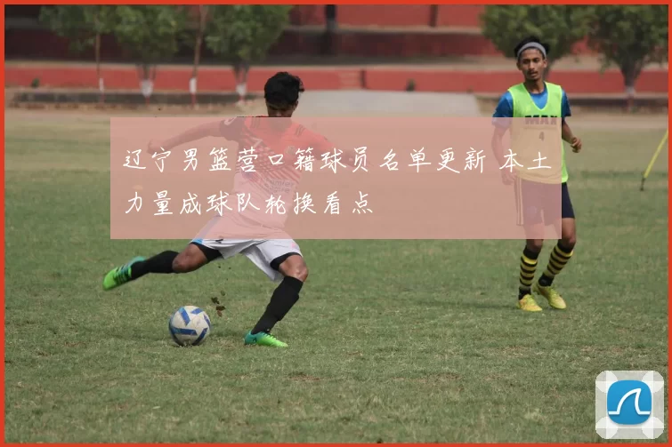 辽宁男篮营口籍球员名单更新 本土力量成球队轮换看点